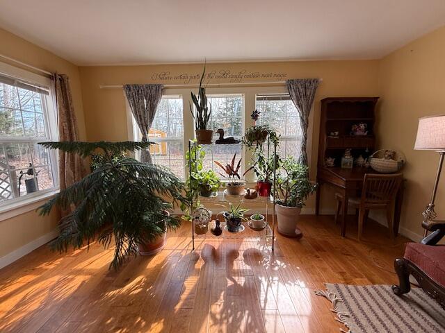 203 Garnet Head Road Pembroke, ME 04666 - Photo 32 of 92 IMG_7174 (3)