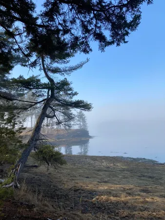 $395,000 | 203 Garnet Head Road, Pembroke, ME 04666
