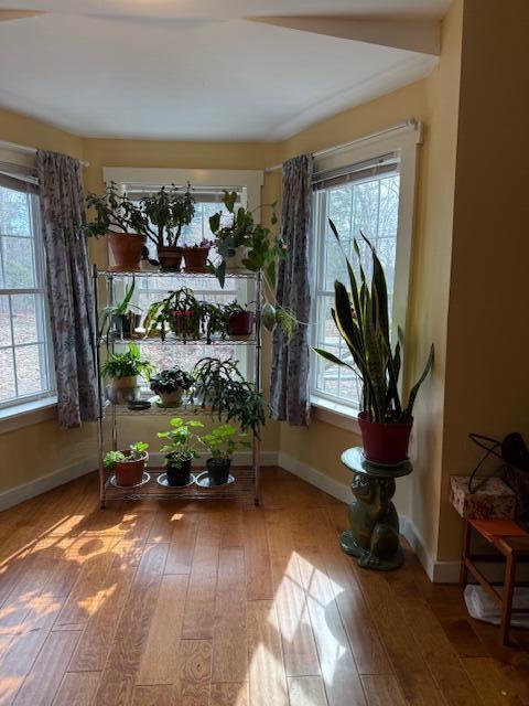 203 Garnet Head Road Pembroke, ME 04666 - Photo 41 of 91 IMG_7172 (3)