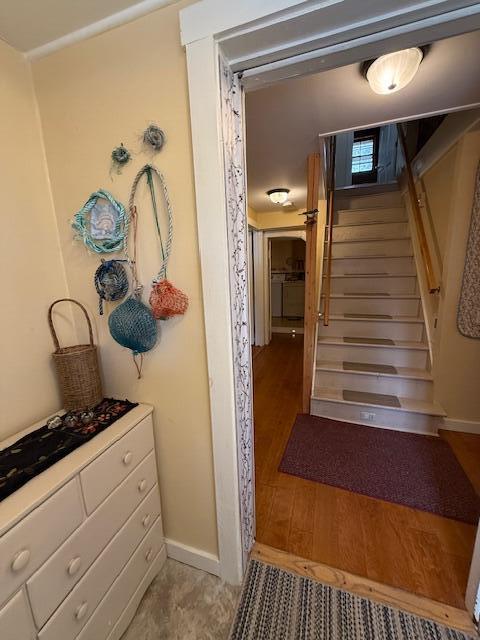 203 Garnet Head Road Pembroke, ME 04666 - Photo 45 of 92 IMG_7194 (2)