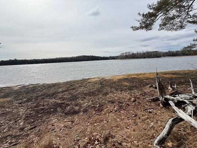 203 Garnet Head Road Pembroke, ME 04666 - Photo 6 of 91 IMG_7168 (4)