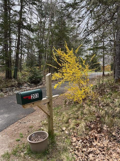 203 Garnet Head Road Pembroke, ME 04666 - Photo 78 of 91 IMG_5106