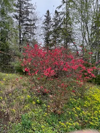 $395,000 | 203 Garnet Head Road, Pembroke, ME 04666