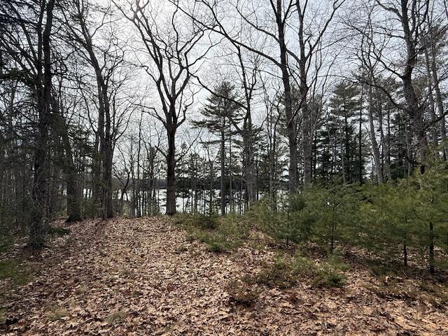 203 Garnet Head Road Pembroke, ME 04666 - Photo 83 of 91 IMG_7157