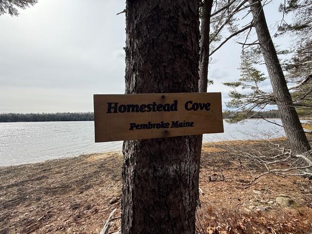 203 Garnet Head Road Pembroke, ME 04666 - Photo 85 of 91 IMG_7165 (2)