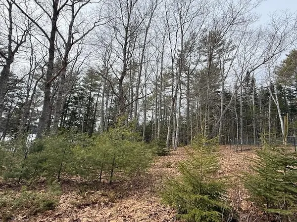 $395,000 | 203 Garnet Head Road, Pembroke, ME 04666