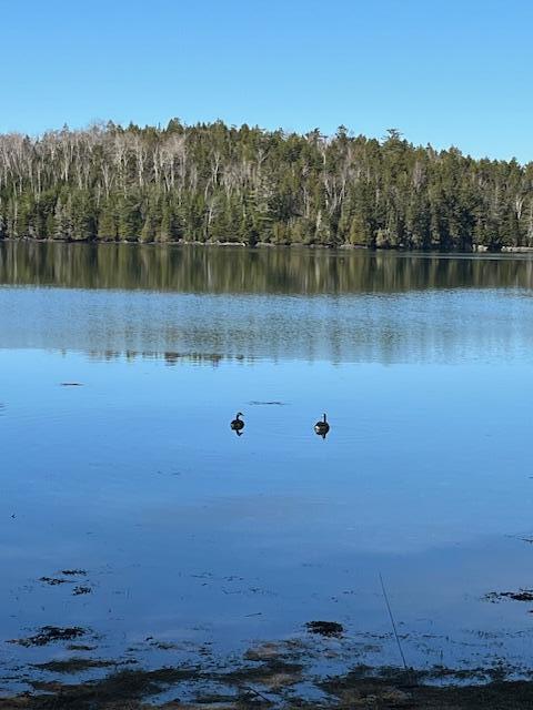 203 Garnet Head Road Pembroke, ME 04666 - Photo 86 of 91 IMG_5963