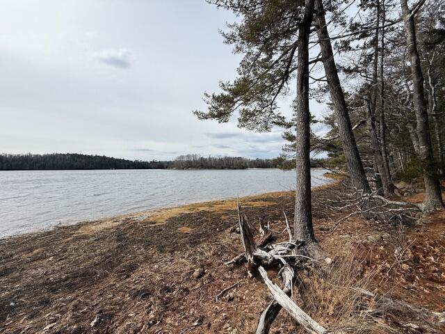 203 Garnet Head Road Pembroke, ME 04666 - Photo 87 of 91 IMG_7167 (3)