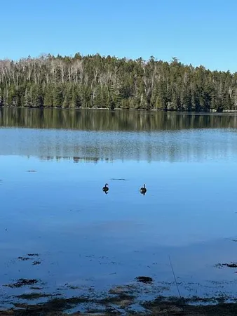 $395,000 | 203 Garnet Head Road, Pembroke, ME 04666