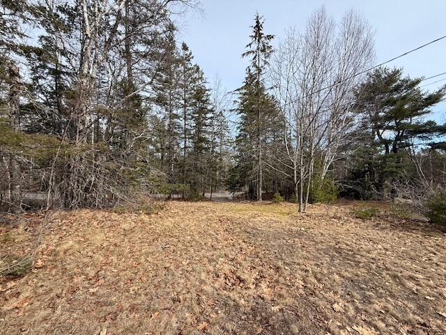 203 Garnet Head Road Pembroke, ME 04666 - Photo 89 of 91 IMG_7153 (1)