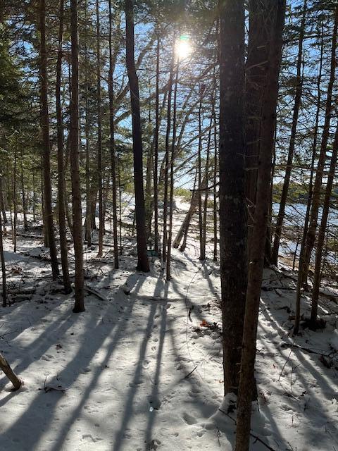 203 Garnet Head Road Pembroke, ME 04666 - Photo 90 of 91 IMG_6422