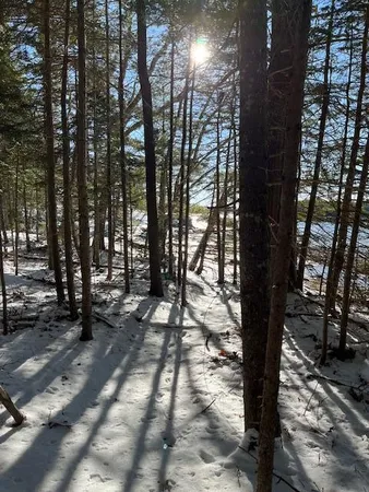 $395,000 | 203 Garnet Head Road, Pembroke, ME 04666