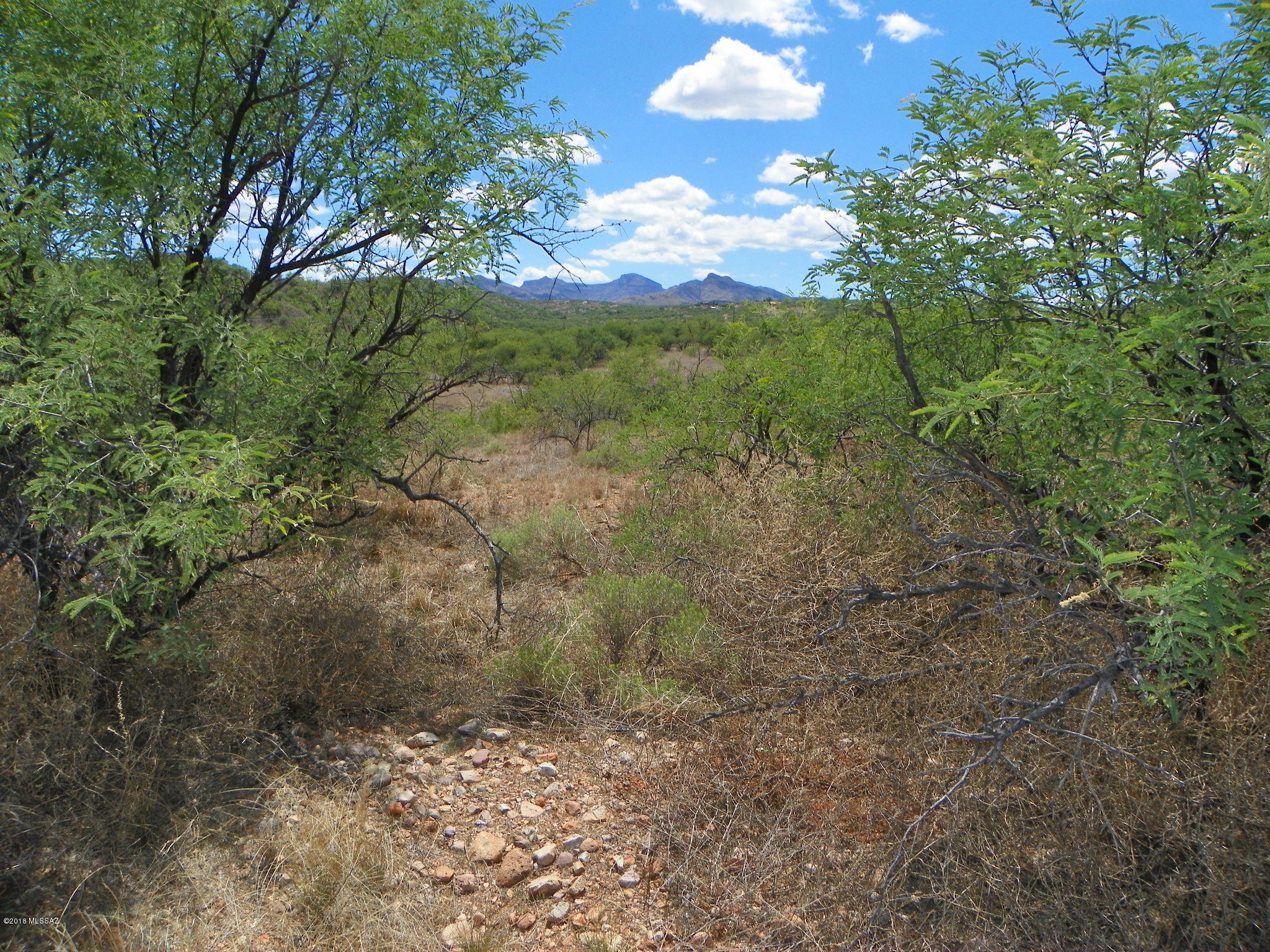 1227 Calle Tubatana, Unit 19 Rio Rico, AZ 85648 - Photo 2 of 2