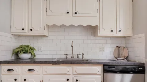 a kitchen with white cabinets and a potted plant
