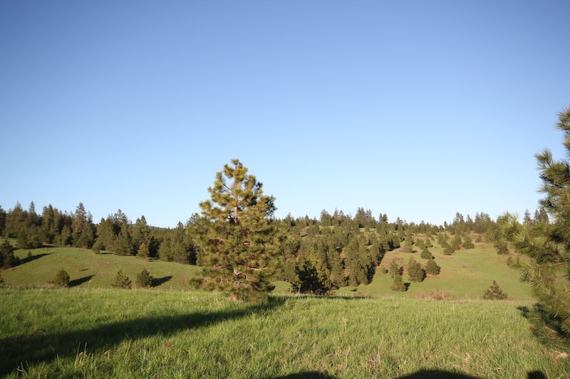 Nka South Marsh Road Rockford, WA 99030 - Photo 15 of 20 Gallery Image 15