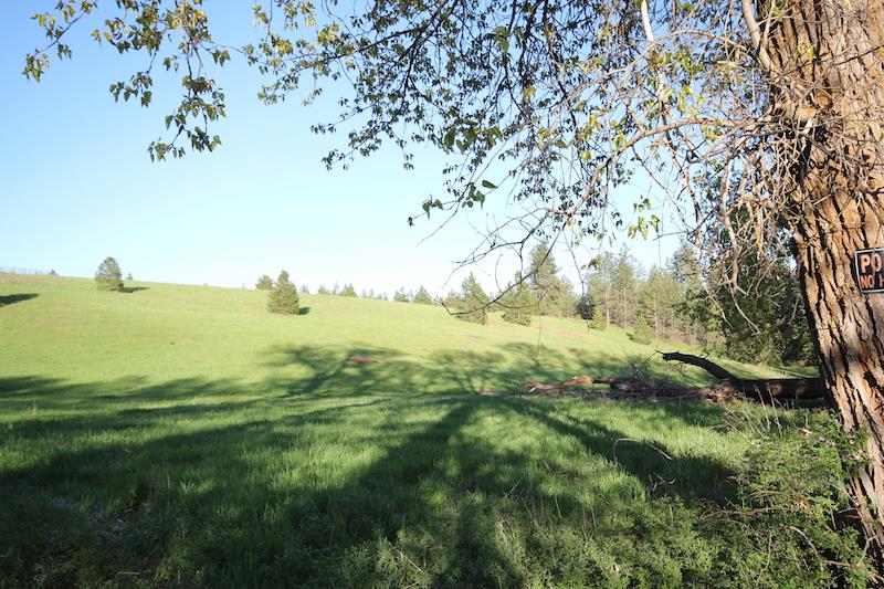 Nka South Marsh Road Rockford, WA 99030 - Photo 6 of 20 Gallery Image 6