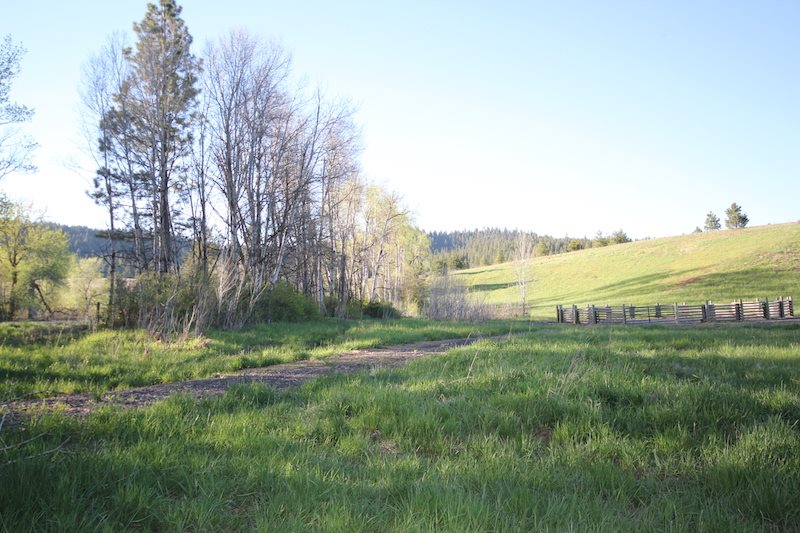 Nka South Marsh Road Rockford, WA 99030 - Photo 7 of 20 Gallery Image 7