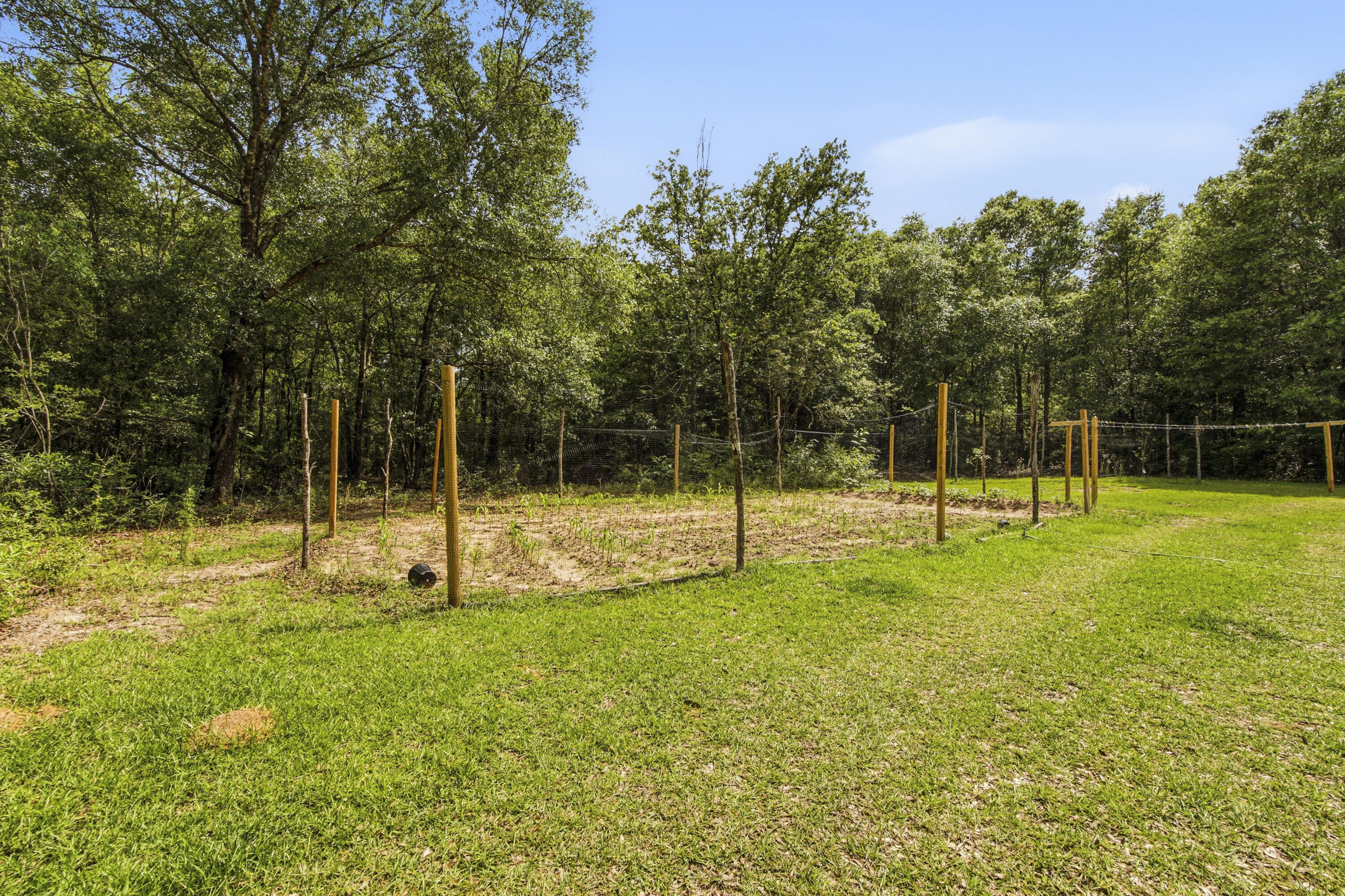 10732 Huckaba Road Red Level, AL 36474 - Photo 30 of 43 DSC00914 (1)