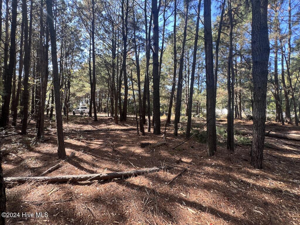 1 Veaches Mill Road Warsaw, NC 28398 - Photo 29 of 33 28