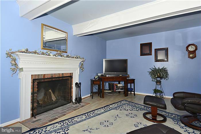 14424 Basingstoke Lane Silver Spring, MD 20905 - Photo 16 of 29 a living room with furniture a fireplace and potted plants