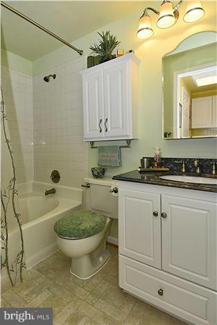 14424 Basingstoke Lane Silver Spring, MD 20905 - Photo 20 of 29 a bathroom with a sink a toilet and bathtub