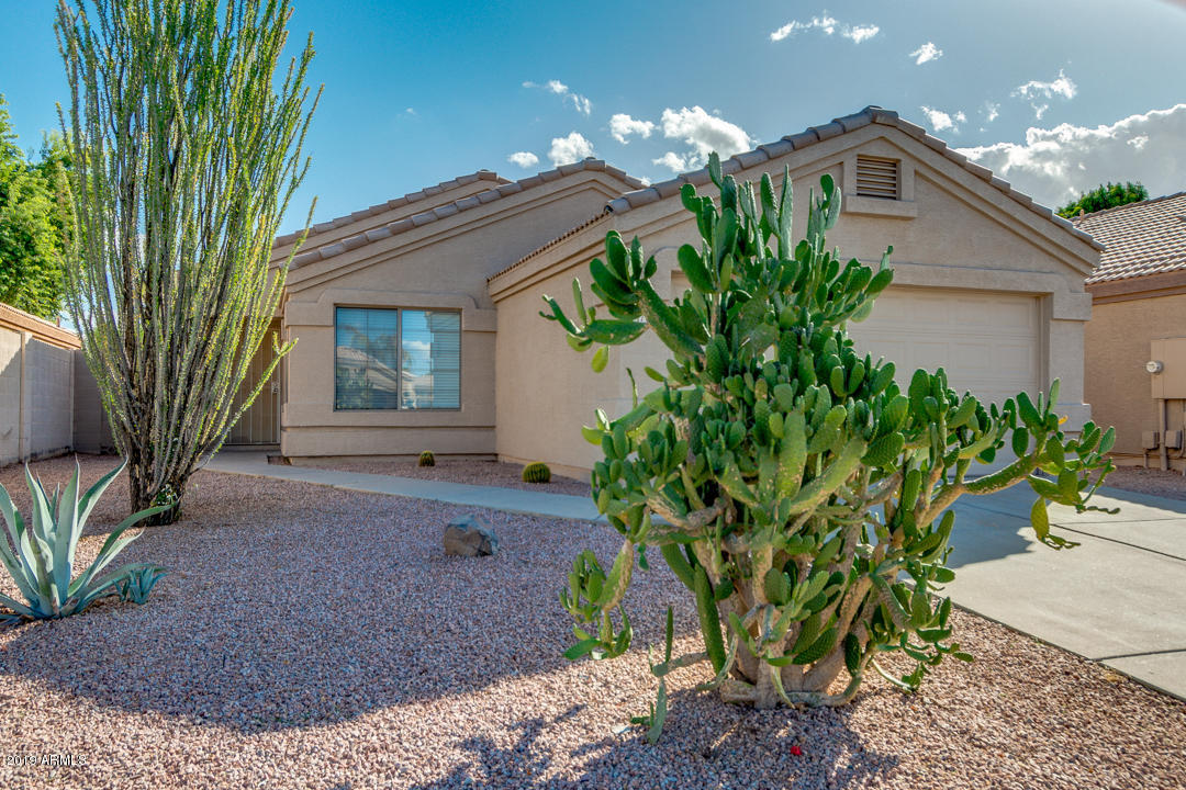 1761 East Appaloosa Road Gilbert, AZ 85296 - Photo 2 of 24 02-Appaloosa