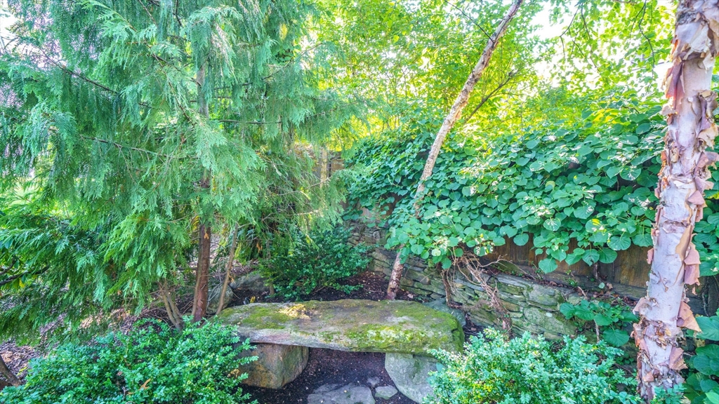 22 Puritan Road Newton, MA 02461 - Photo 11 of 37 a view of a backyard with plants and large trees