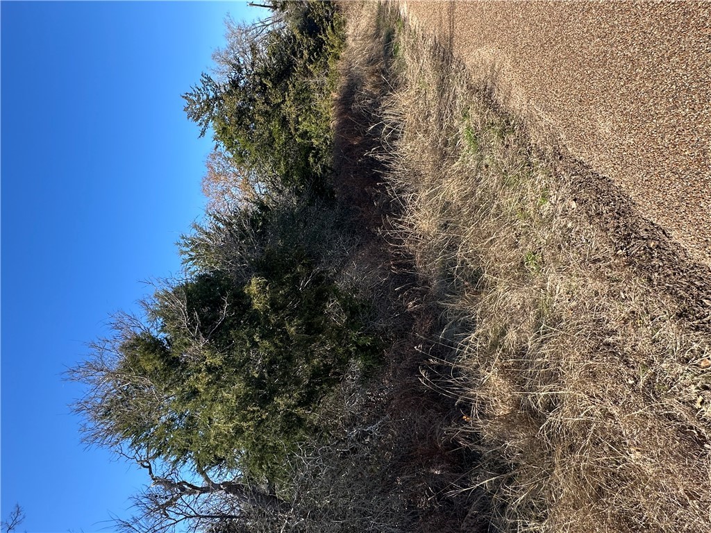 Tbd Lake View Loop Somerville, TX 77879 - Photo 1 of 6 View of landscape