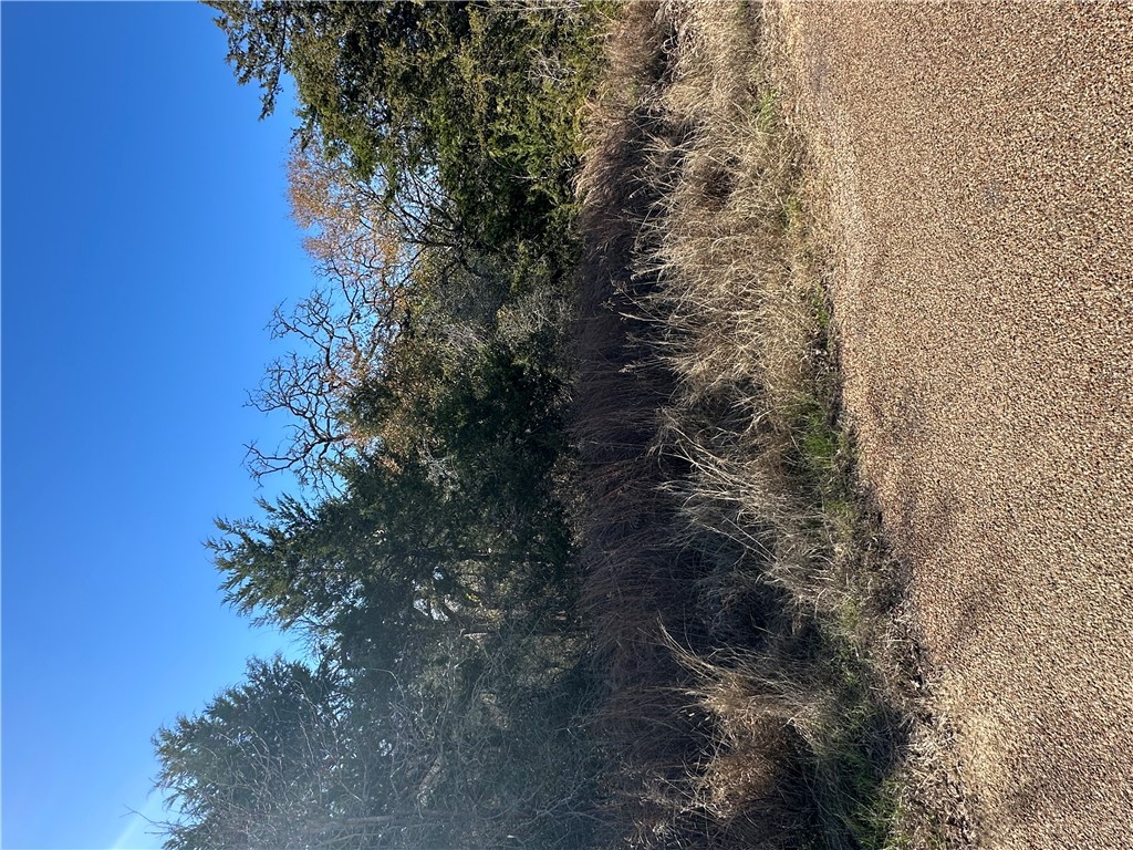 Tbd Lake View Loop Somerville, TX 77879 - Photo 2 of 6 View of landscape