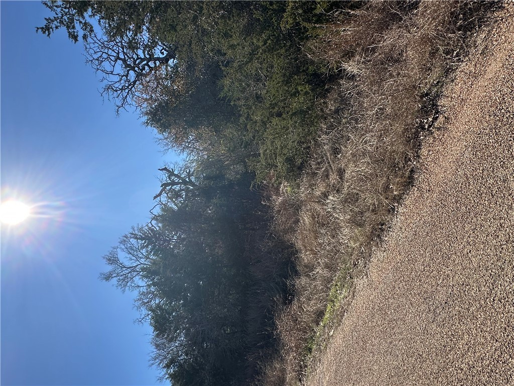 Tbd Lake View Loop Somerville, TX 77879 - Photo 3 of 6 View of nature