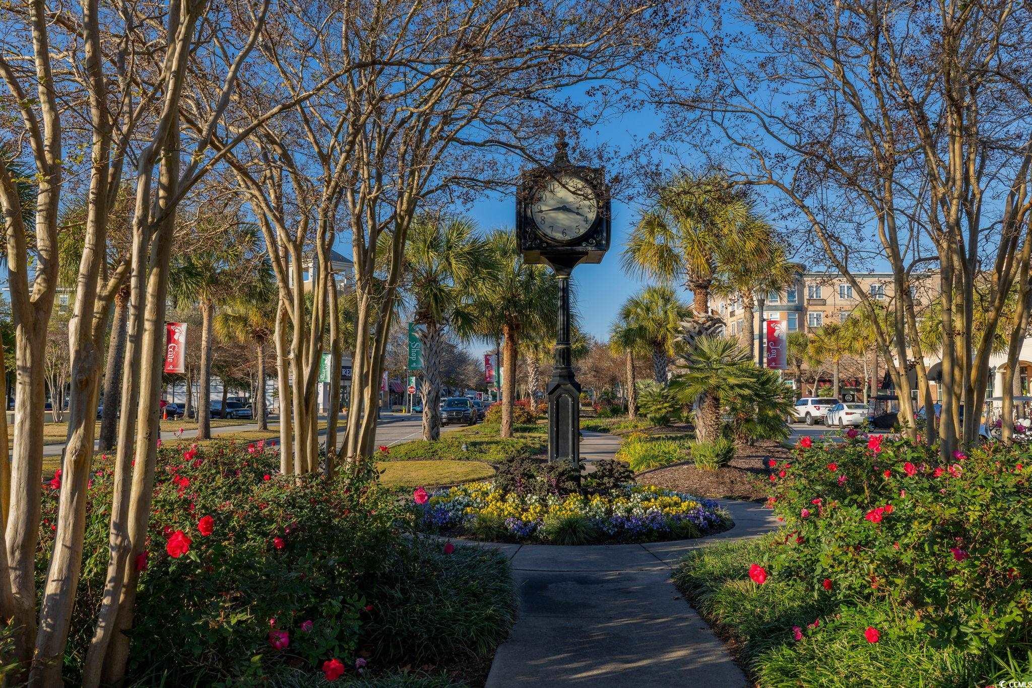 2595 Orion Loop Myrtle Beach, SC 29577 - Photo 31 of 37