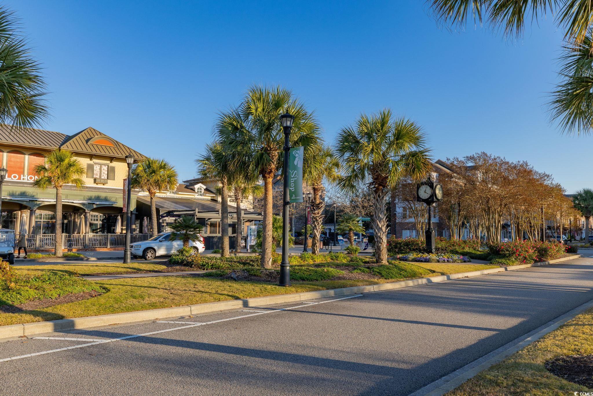 2595 Orion Loop Myrtle Beach, SC 29577 - Photo 33 of 37