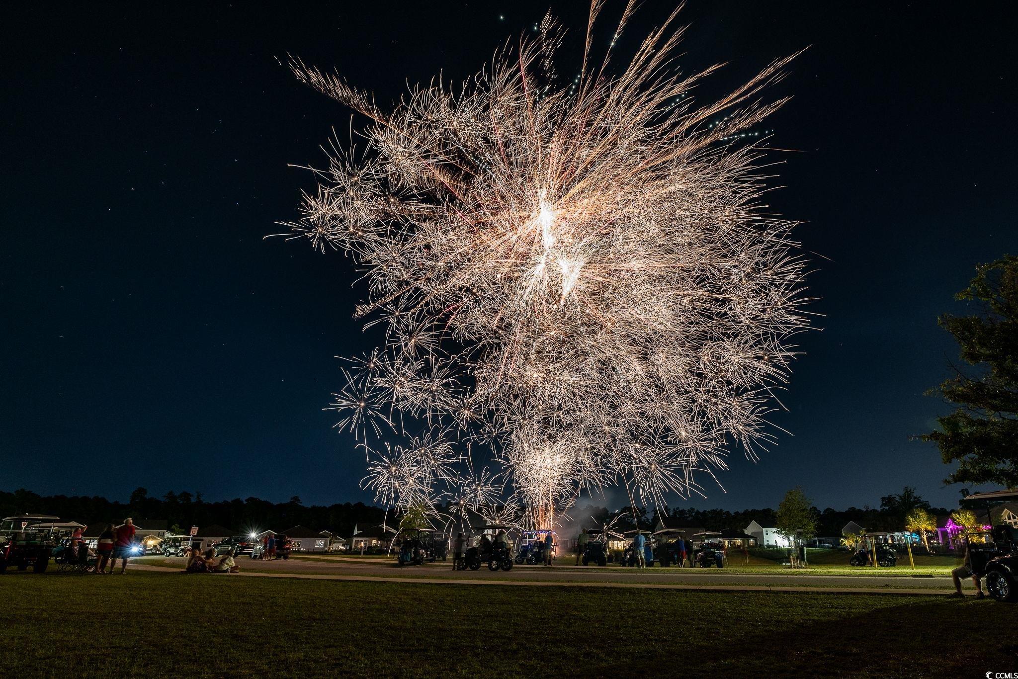 2595 Orion Loop Myrtle Beach, SC 29577 - Photo 35 of 37