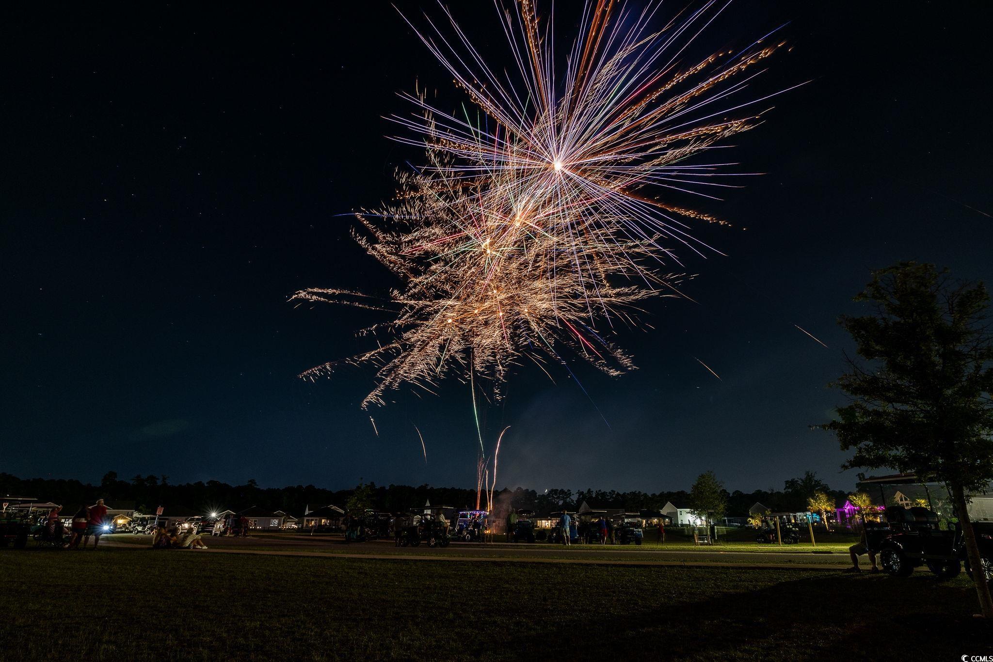 2595 Orion Loop Myrtle Beach, SC 29577 - Photo 36 of 37