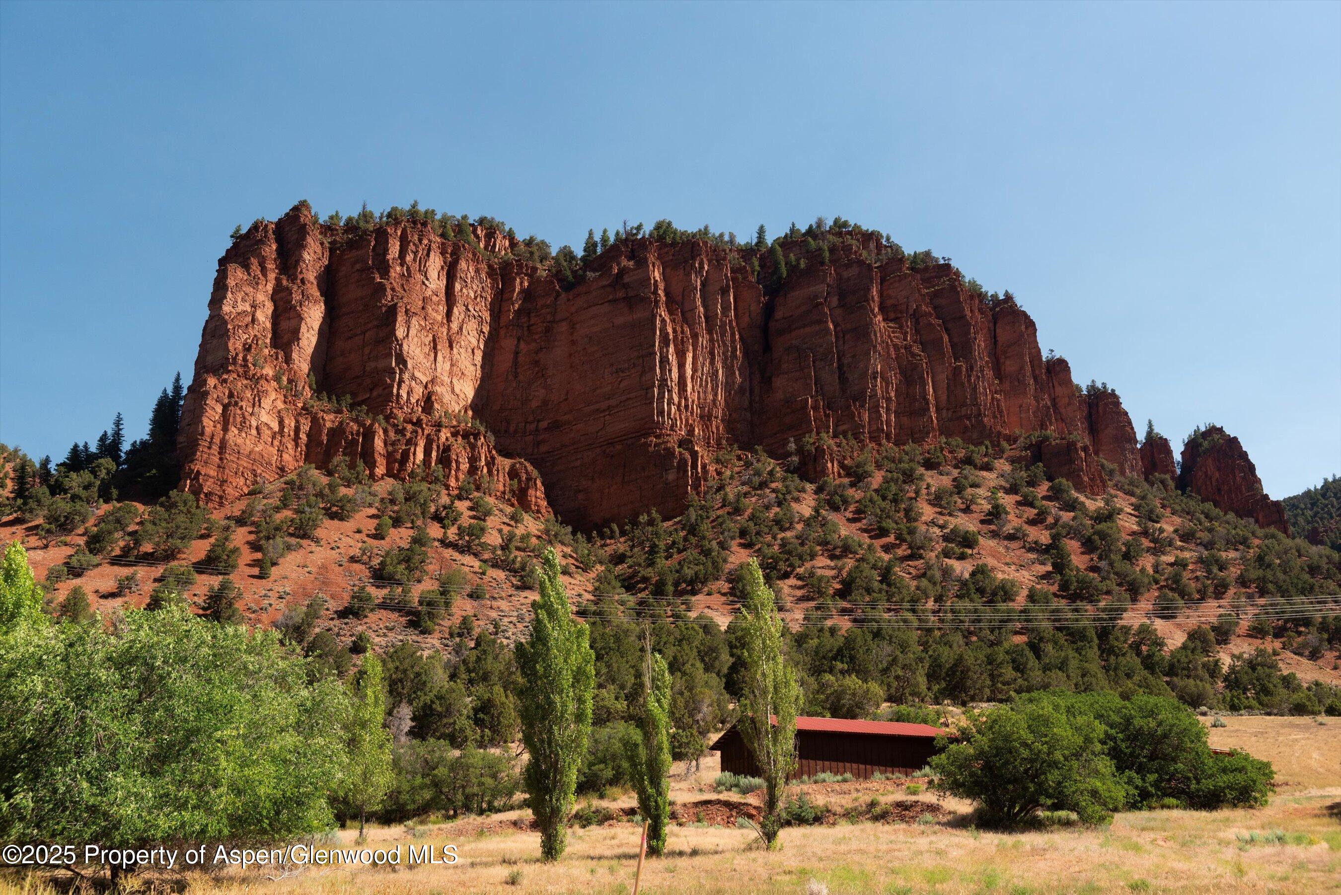 5045 Frying Pan Road Basalt, CO 81621 - Photo 11 of 22 a view of a yard