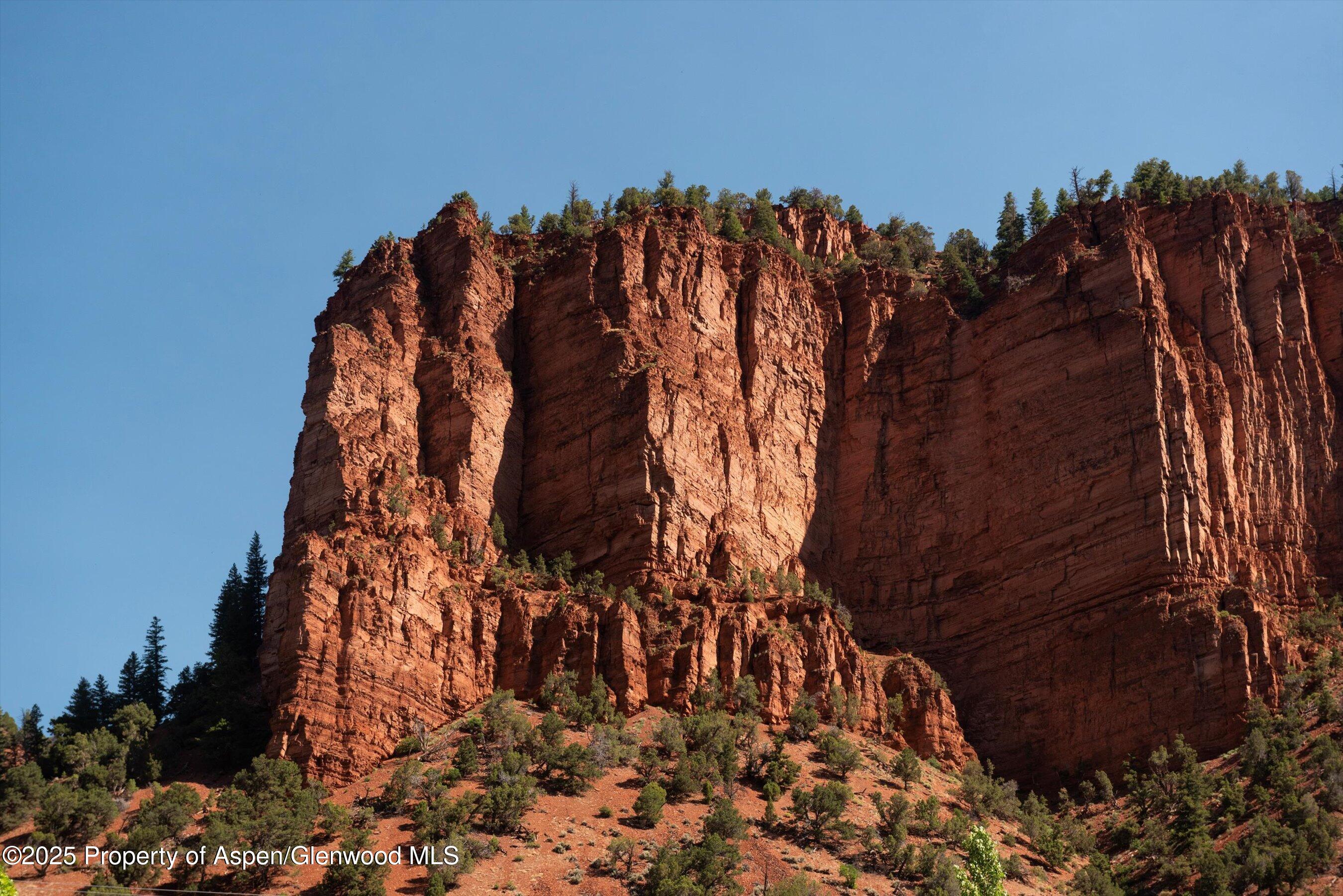 5045 Frying Pan Road Basalt, CO 81621 - Photo 19 of 22 a view of a yard