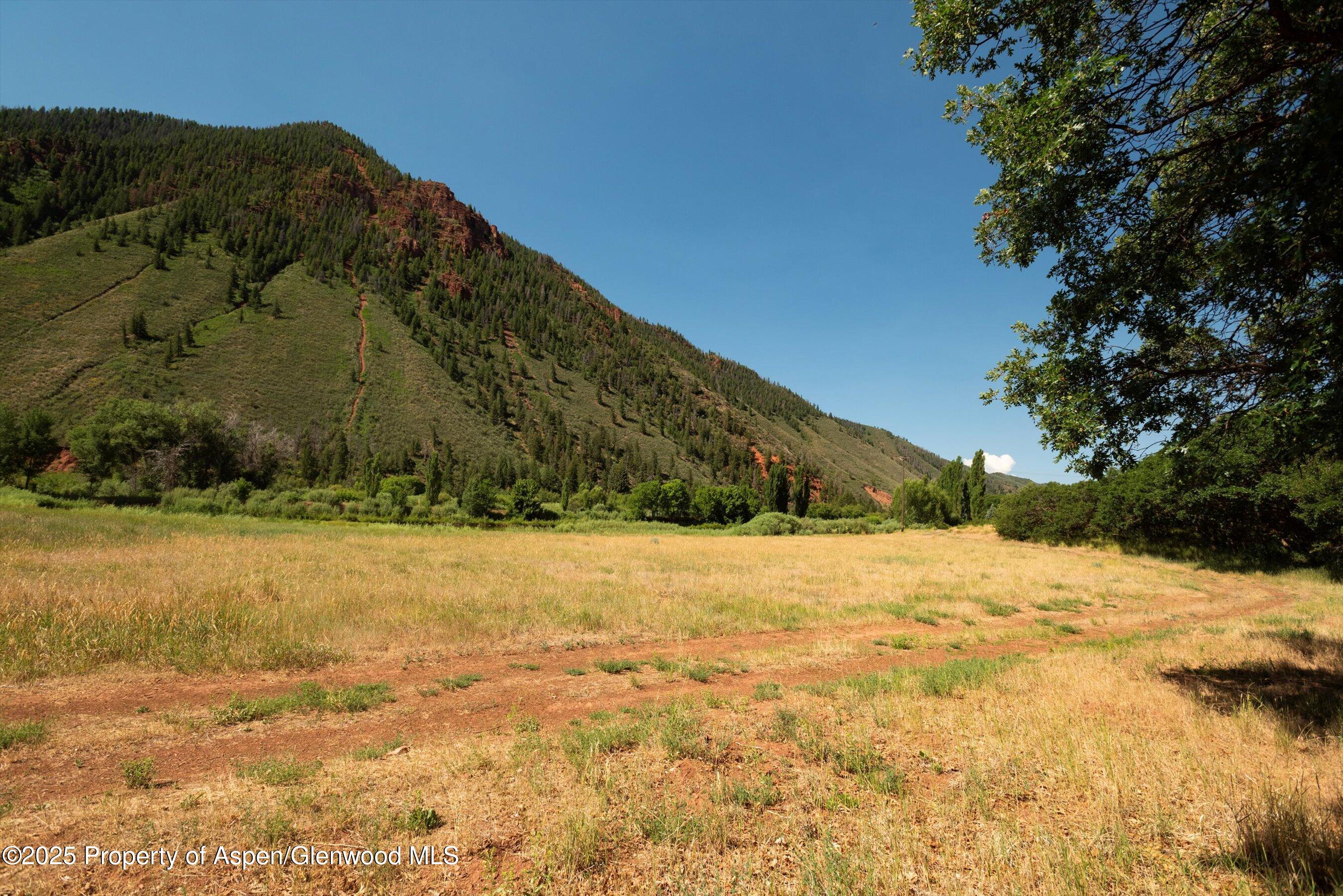 5045 Frying Pan Road Basalt, CO 81621 - Photo 20 of 22 a view of large yard with large trees