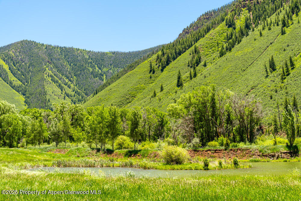 5045 Frying Pan Road Basalt, CO 81621 - Photo 7 of 22 a view of a yard with an outdoor space