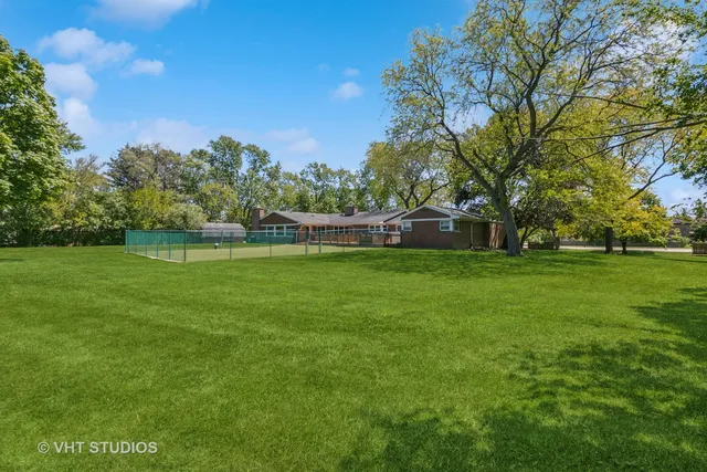 a view of a park with large trees