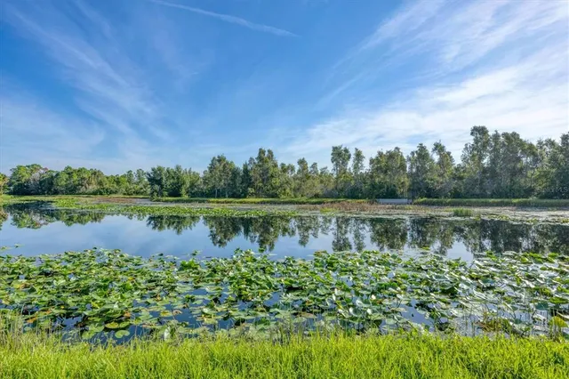 a view of a tennis court