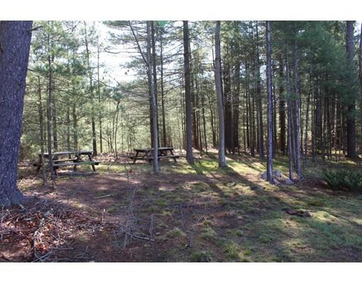 157 Old Coldbrook Road Barre, MA 01005 - Photo 19 of 21 a view of outdoor space with trees