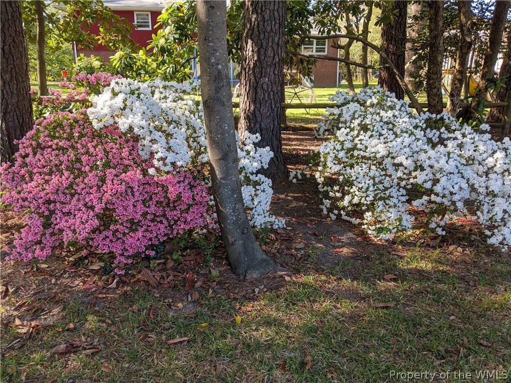 107 Governor Berkeley Road Williamsburg, VA 23185 - Photo 34 of 35 Gallery Image 34