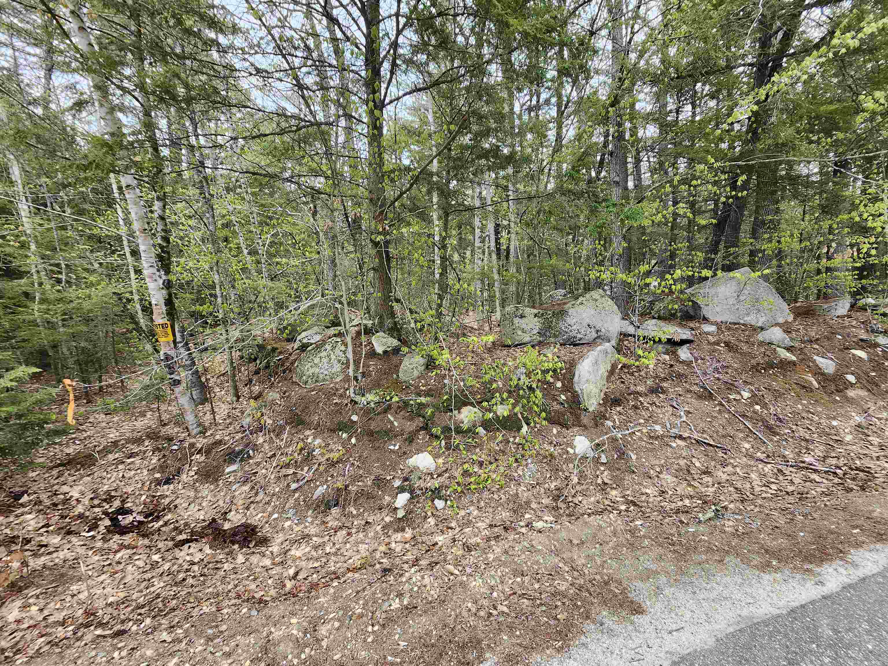 101-15 North Shore Road New Durham, NH 03855 - Photo 8 of 14