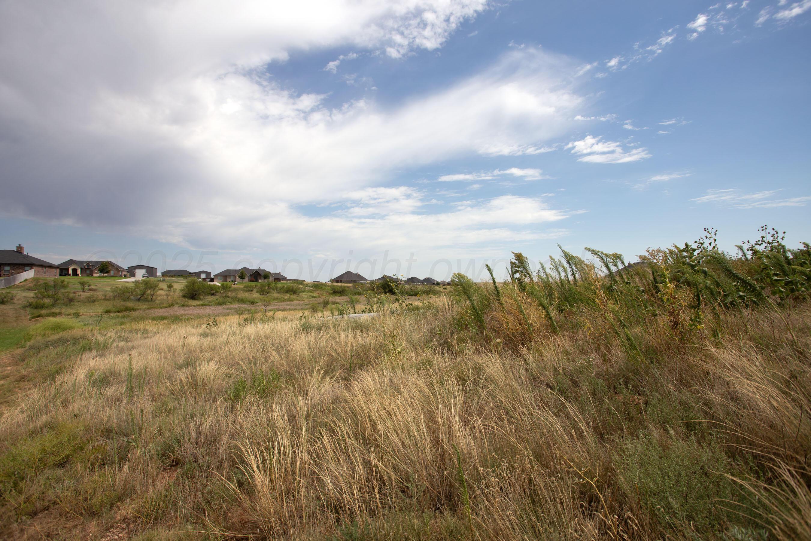 0 Brindle Amarillo, TX 79124 - Photo 10 of 13 a view of lake