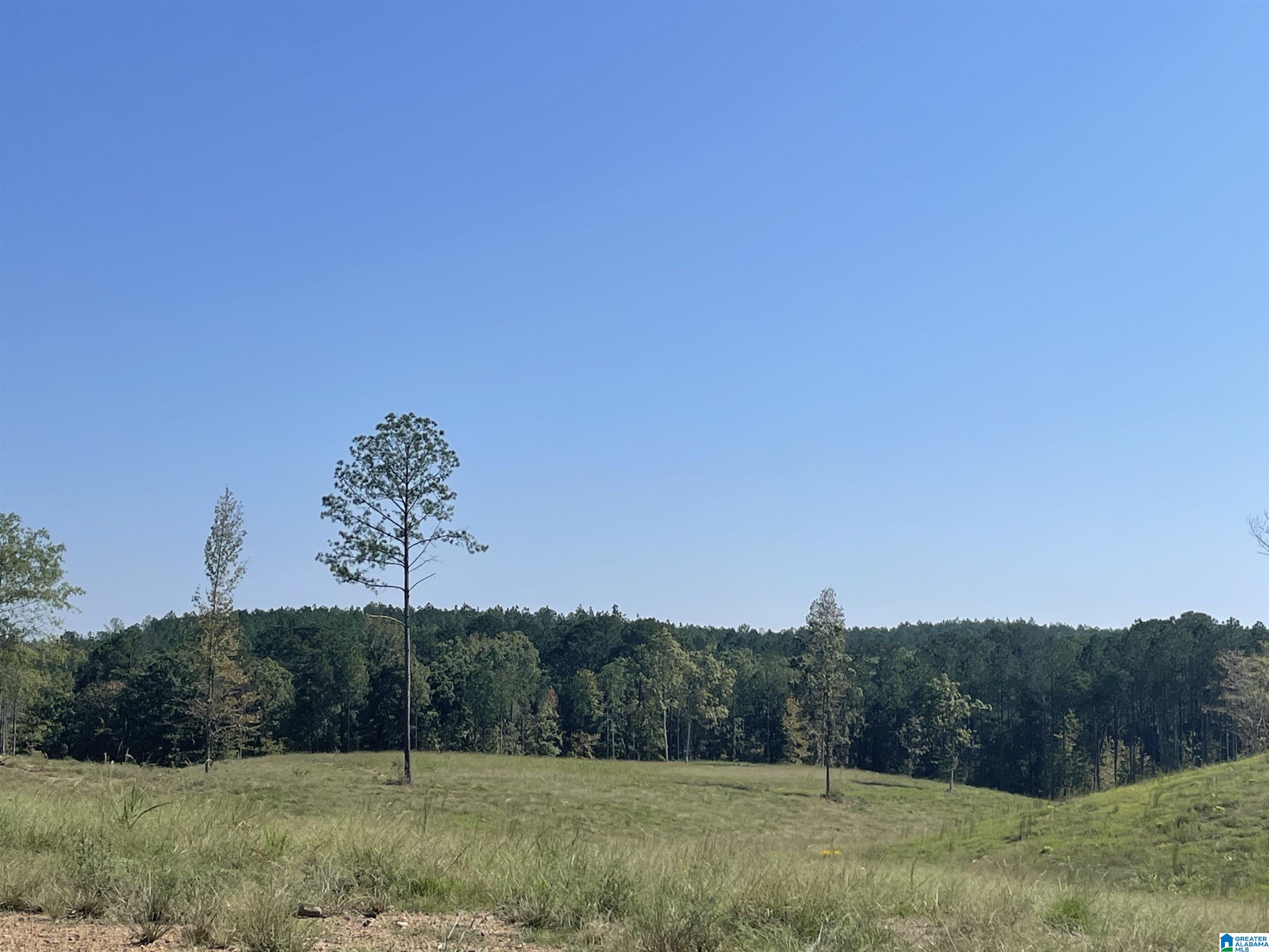 3679 Chelsea Road, Unit 2 Columbiana, AL 35051 - Photo 11 of 13