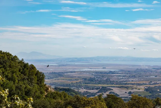 a view of an ocean beach