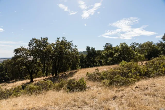 a view of a large mountain with a tree in the background