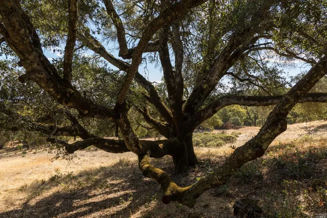a view of a sky from a city