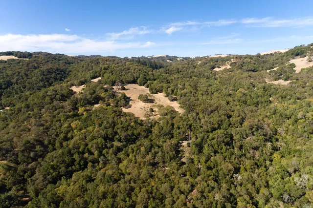 a view of a yard with trees