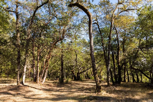 a view of outdoor space with trees